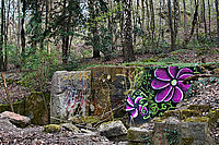 Bernhard Saalfeld - DSC01885.jpg