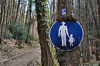 Bernhard Saalfeld - DSC01912.jpg