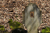 Bernhard Saalfeld - DSC01928.jpg
