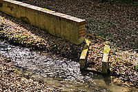 Bernhard Saalfeld - DSC01930.jpg