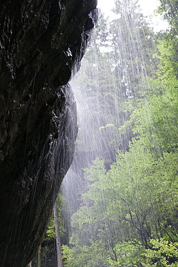 Bernhard Saalfeld - Breitachklamm