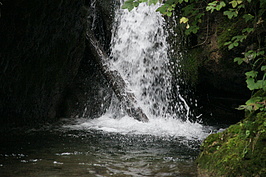 Bernhard Saalfeld - DSC05066.JPG