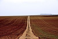 Bernhard Saalfeld - B3.jpg