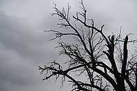 Bernhard Saalfeld - C3.JPG