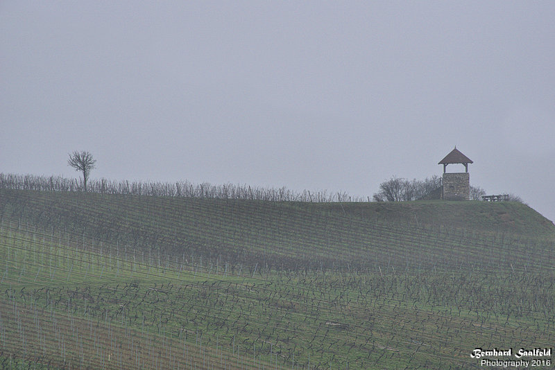 Bernhard Saalfeld - Wachturm