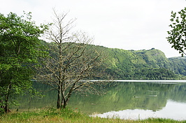 DSC03997_t.JPG