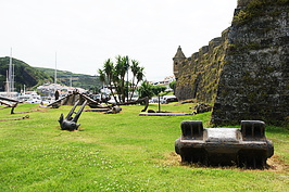 DSC05007_t.JPG