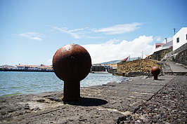 DSC05019_t.JPG