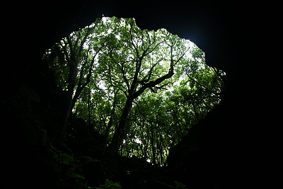 DSC05445_t.JPG