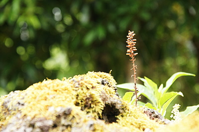 DSC05455_t.JPG