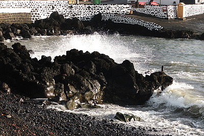S0010349_t.JPG