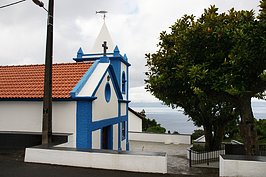 DSC05570_t.JPG