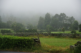 DSC05628_t.JPG