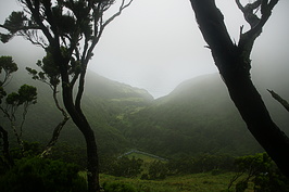 DSC05643_t.JPG