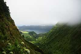DSC05917_t.JPG