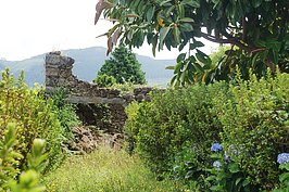 DSC06031_t.JPG
