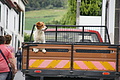 Bernhard Saalfeld - DSC03787.JPG
