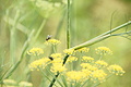 Bernhard Saalfeld - DSC03793.JPG