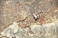Bernhard Saalfeld - DSC03809.JPG