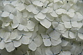 Bernhard Saalfeld - DSC03829.JPG