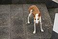 Bernhard Saalfeld - DSC03862.JPG