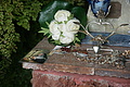 Bernhard Saalfeld - DSC03867.JPG