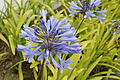 Bernhard Saalfeld - DSC03900.JPG