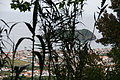 Bernhard Saalfeld - DSC03901.JPG