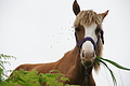 Bernhard Saalfeld - DSC03905.JPG