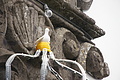 Bernhard Saalfeld - DSC03908.JPG