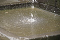 Bernhard Saalfeld - DSC03918.JPG