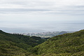 Bernhard Saalfeld - DSC03959.JPG