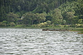 Bernhard Saalfeld - DSC03978.JPG