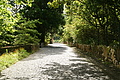 Bernhard Saalfeld - DSC03996.JPG