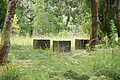 Bernhard Saalfeld - DSC03998.JPG