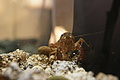 Bernhard Saalfeld - DSC04000.JPG