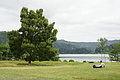 Bernhard Saalfeld - DSC04005.JPG