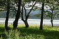 Bernhard Saalfeld - DSC04012.JPG