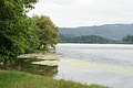 Bernhard Saalfeld - DSC04015.JPG