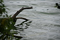 Bernhard Saalfeld - DSC04026.JPG