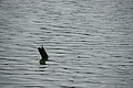 Bernhard Saalfeld - DSC04027.JPG