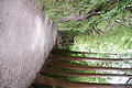 Bernhard Saalfeld - DSC04030.JPG