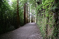 Bernhard Saalfeld - DSC04031.JPG