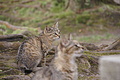 Bernhard Saalfeld - DSC04064.JPG