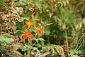 Bernhard Saalfeld - DSC04079.JPG
