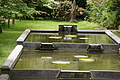 Bernhard Saalfeld - DSC04120.JPG