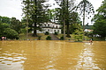 Bernhard Saalfeld - DSC04122.JPG