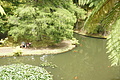 Bernhard Saalfeld - DSC04127.JPG