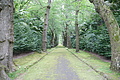 Bernhard Saalfeld - DSC04142.JPG