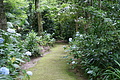 Bernhard Saalfeld - DSC04145.JPG